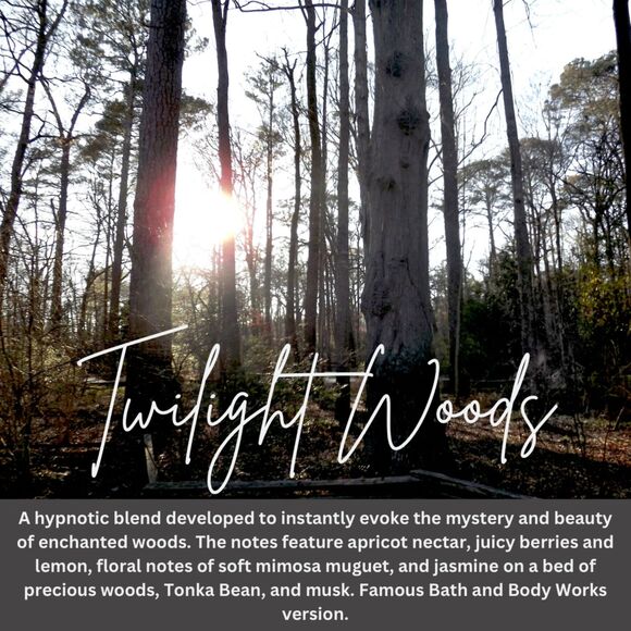 Repurposed‎ Vintage Texas Rangers Candle Mug | Twilight Woods Scent | 11oz - Picture 3 of 3